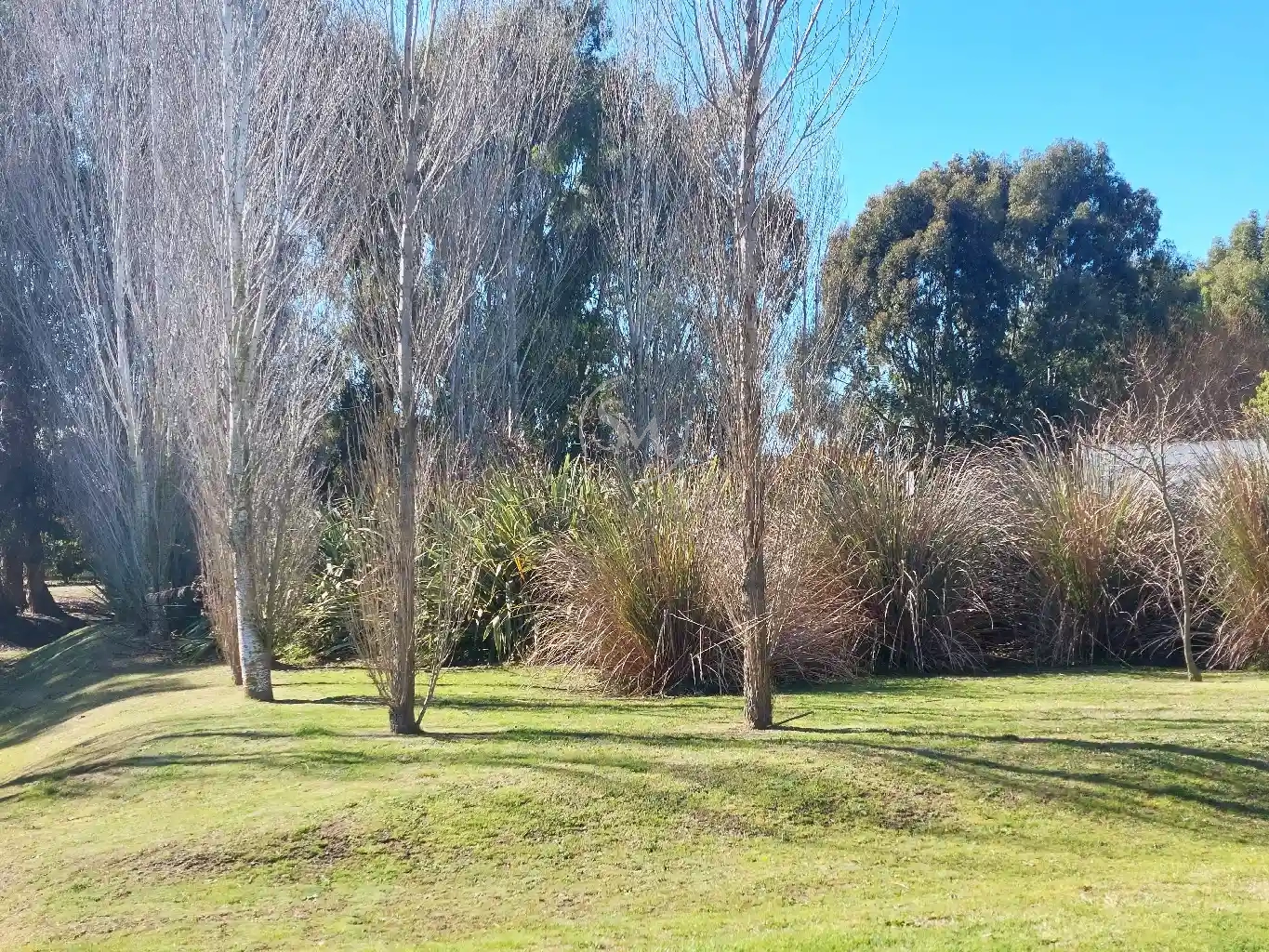 SANCHEZ MARSICO PROPIEDADES - LOTE- FRACCIóN
